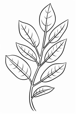 a cute graceful leaves  coloring bookvector white background black and white black drawing