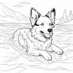 dog swimming