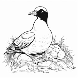 a cute icelandic great auk in its nest