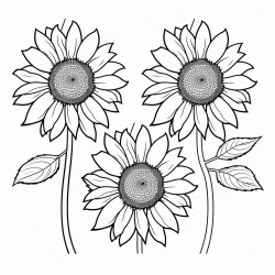 four sunflowers that are spaced apart so they are not touching