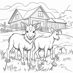 goats in the field with barn