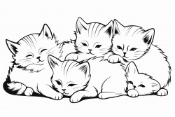 exactly six kittens with some of them sleeping and some of them playing