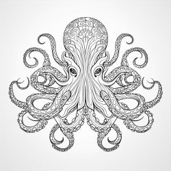 line work coloring book octopus mandala black and white thick lines vector file