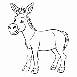 donkey