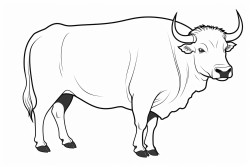toro
