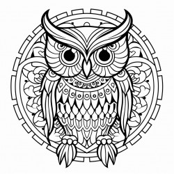 owl mandala art