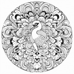 peacock mandala