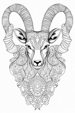 animal