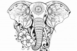 elephant