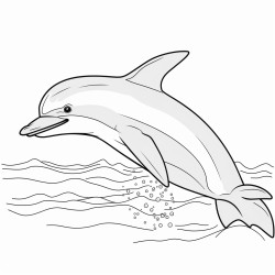 a cute icelandic whitebeaked dolphin