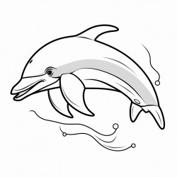 simple and cute dolphin drawing outline with thin bold lines