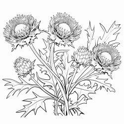 thistle