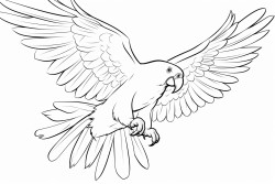 para colorear