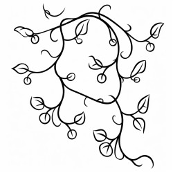 vines
