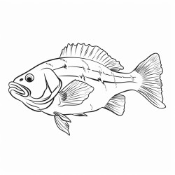 australian bass