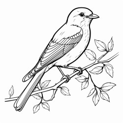 oiseau