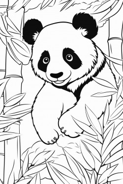 panda bear