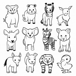 animals