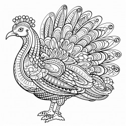 turkey with ornate and mandalas pattern thick black outine