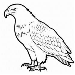 simple and cute eagle outline drawing with thin bold lines
