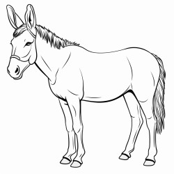 burro