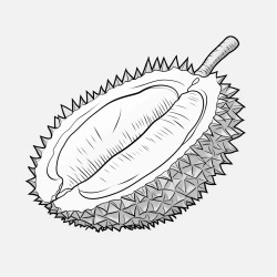 durian clipart