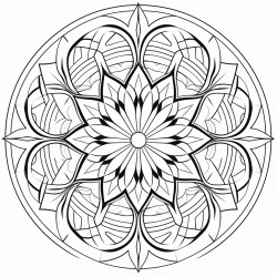 geometric symmetry  symmetrical patterns creating a balanced mandala