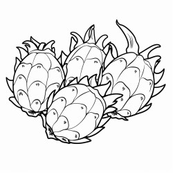 dragonfruit