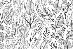 botanical pattern word johanna in front