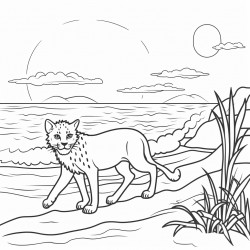 sunset coluring page over the ocean with a cheetah on the beach