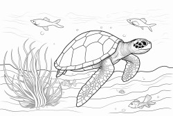 the life cycle of a sea turtle demarcated by an arrow