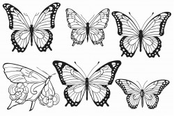 des papillons