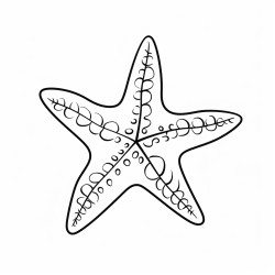 kids coloring page with sea star black and white simple line art style minimalist drawing white background style raw