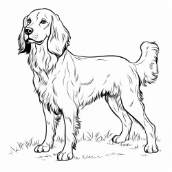 polish hunting spaniel