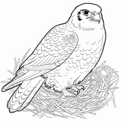 a cute icelandic peregrine falcon in its nest