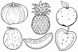 cocnuts pineapples melon mango fruits