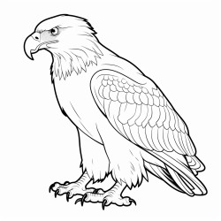 a cute eagle tengssuun  coloring bookvector white background black and white black drawing