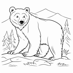 un ours