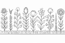 fantasy borders with plants