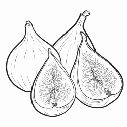fig