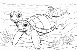 dolphin and turtle plays together
