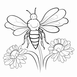 bee on a flower