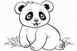 panda