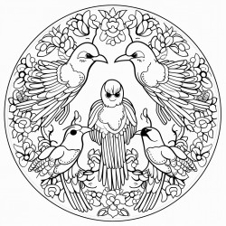 mandala birds