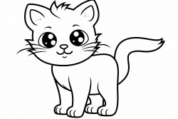 orange cat