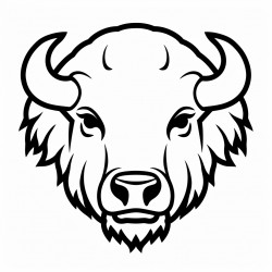 bison face mask