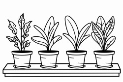 planta