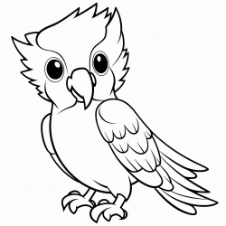 a cute cockatoo bird