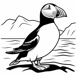 a cute icelandic atlantic puffin