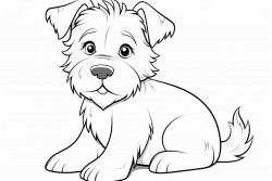 chien de berger noir et blanc